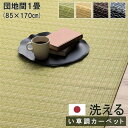 【SALE:5/1 10:00 - 5/8 01:59】カーペット 洗える ござ おしゃれ 日本製 除菌スプレー対応 団地間 10畳 1畳 2畳 3畳 4畳半 ...