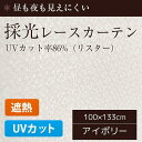 採光レースカーテン UVカット 洗える おしゃれ 遮熱 遮像 目隠し 100×133cm 2枚組