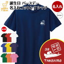 誕生日 プレゼント 名入れ 競艇 一筋 バースデー Tシャツ ティーシャツ ティシャツ 半袖 バースデー プレゼント 誕生日 祝い 男性 女性 メンズ レディース おしゃれ お祝い ギフト プチギフト 贈り物 誕生祝い 面白 Tシャツ オリジナル ボートレース SG ボートレーサー