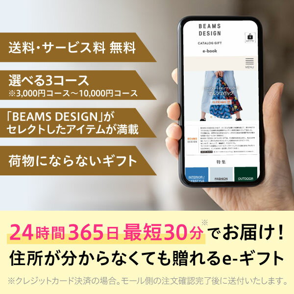BEAMS DESIGN CATALOG GI...の紹介画像2
