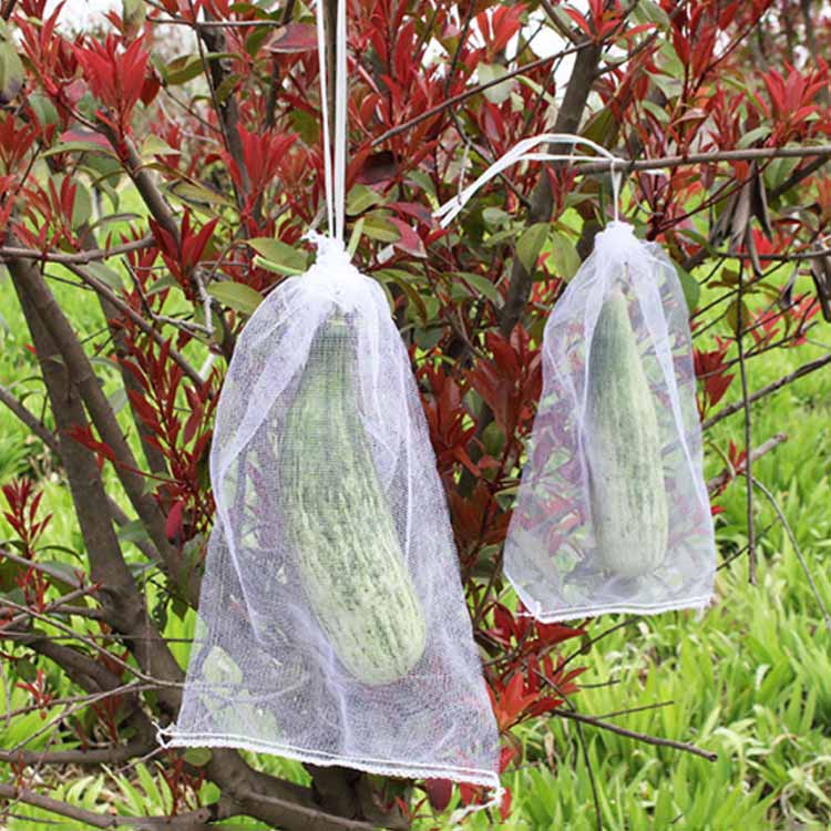ネット 防虫 巾着袋 害虫鳥避け 鳥よけ網 果物袋 園芸ネット 桃 保護ネット 果樹用...