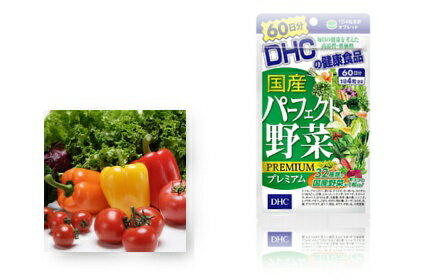 10袋セット DHC 国産パーフェクト野菜プレミアム 60日分 240粒(10袋セットは送料無料)