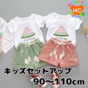 【楽天スーパーSALE】半額 50%OFF キッズ セットアップ 上下セット 半袖 半ズボン Tシャツ ハーフパンツ 男の子 ボーイズ 女の子 ガールズ 子供服 キッズ ジュニア 子供 こども 子ども シンプル 夏 スイカ 送料無料 90cm 100cm 110cm