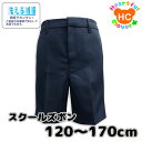 􂦂  XN[ pc Y{ j̎q {[CY q LbY WjA q ǂ qǂ Vv n wZ G  EHbVu w XN[  120cm 130cm 140cm 150cm 160cm 170cm