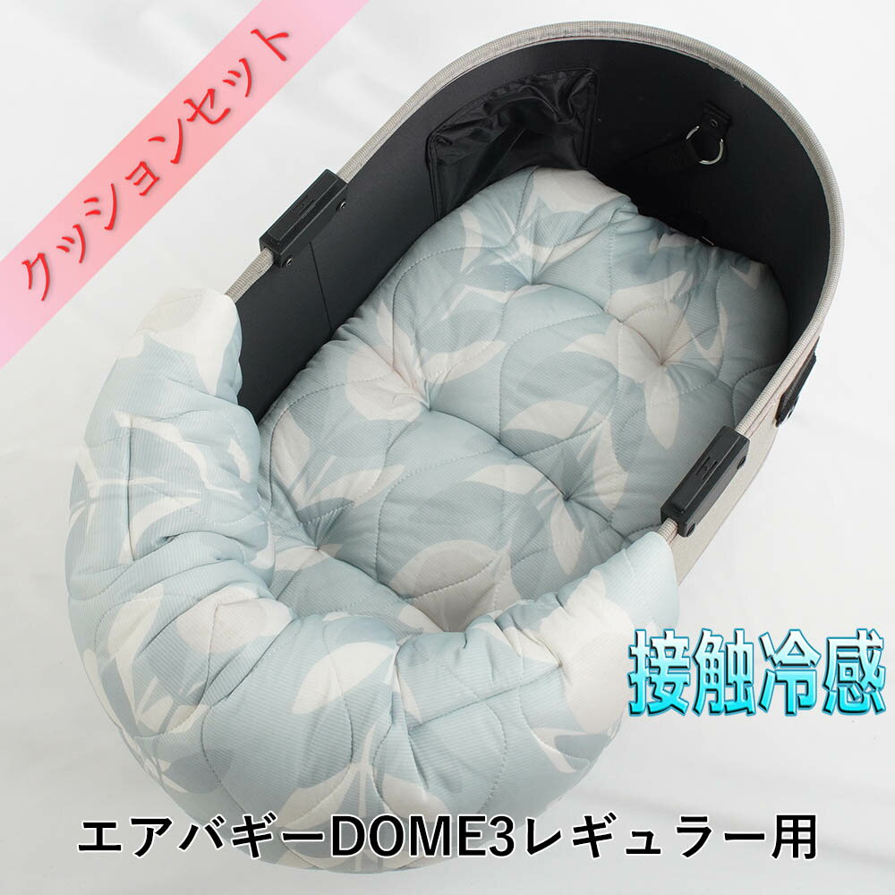 ڥåʡDOME3쥮顼ѥå󥻥å Ѥפפ Τåܲѱ̵å٥å M ܿ䴶 ޡ...