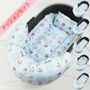 【セット品】DOME3レギュラー(Wiz)/ラージ 冬用ぷくぷく あごのせクッションセット マカロンブルーファー