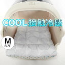 夏用あごのせ縁無しクッション 接触冷感 マーベラスクール Abuku グレー Mサイズ / ヘレンズ ペットベッド 犬 猫 キャンピング ペット クレートマット クレートクッション クレートベッド