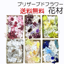 \クーポン配布/ プリザーブドフラワー 花材 【送料無料】キット セット 小分け キャンドル パーツ 素材 材料 詰め合わせ 詰合せ 少量 アソート ソラフラワ...