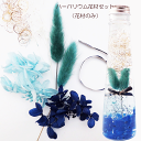 \クーポン配布/ ハーバリウム 花材 セット キット 【花材のみ】 送料無料 ブルーハート ハーバリウム花材 プリザーブドフラワー 植物標本 手作り 初心者 プ...
