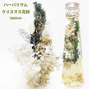 \クーポン配布/ ハーバリウム 花材 セット キット 送料無料 クリスマス ハーバリウムキット 【花材のみ】 ハーバリウム花材 花材キット プリザーブドフラワー...