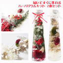 \クーポン配布/ ハーバリウム キット 2本セット クリスマス クリスマスツリー 誕生日 花 花材 ピンセット オイル 瓶 プリザーブドフラワー すぐに作れるハ...