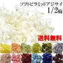 \クーポン配布/ プリザーブドフラワー ハーバリウム 花材 【送料無料】 約5〜6g 小分け あじさい ソフトピラミッドアジサイ ホワイト 白 ピンク イエロー...