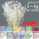 \クーポン配布/ プリザーブドフラワー カスミソウ 小分け 花材 ソフトミニカスミソウ 約5~6g 【送料無料】 4色セット アソート シロ 白 フラワーベール ピンク ワイン ブルー パープル ハーバリウム 花材 かすみ草 カスミ草 ハンドメイド 手作り 楽天ランキング1位