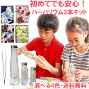 \クーポン配布/ ハーバリウム キット 3本 送料無料 花材 セット ブルー ピンク レッド グリーン パープル ピンセット オイル ハーバリウム専用液 初心者...