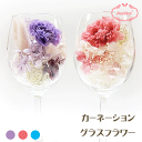 \クーポン配布/ グラスフラワー ボトルフラワー ギフト 誕生日 カーネーション フラワー ホワイトデー プレゼント プリザーブドフラワー 送料無料 入学 卒業...