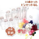 \10%OFF/ ハーバリウム キット ハーバリウム花材 オイル ボトル 10本セット 瓶 Atelier memi アトリエメミ