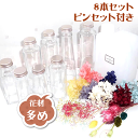 \クーポン配布/ ハーバリウム キット 自由研究 送料無料 8本 手作り キット 花材 オイル 瓶 8本 ピンセット 2本 セット 【ボトルが選べる】ハーバリウ...