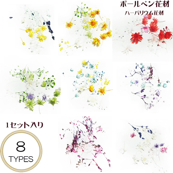 \クーポン配布/ ハーバリウム ボールペン 花材 選べるカラー 1セット入り
