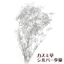 \クーポン配布/ ハーバリウムキット 花材 かすみ草 シルバー 少量 2.5g プリザーブドフラワー 花材セット ハーバリウム アトリエメミ Atelier m...