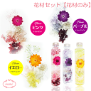 \クーポン配布/ ハーバリウム 【花材のみ】 かわいい お花 花材 セット キット 送料無料 ハーバリウムキット プリザーブドフラワー 入学 卒業 お祝い 植物...