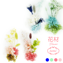 \クーポン配布/ ハーバリウム 【花材のみ】 パステルカラー お花 花材 セット キット 送料無料 ハーバリウムキット プリザーブドフラワー 手作り プリザーブ...