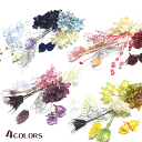 \クーポン配布/ ハーバリウム 花材 バラ入り【送料無料】カラフル フラワー 詰め合わせ プリザーブドフラワー ドライフラワー キット ローズ入り 花材 セット...