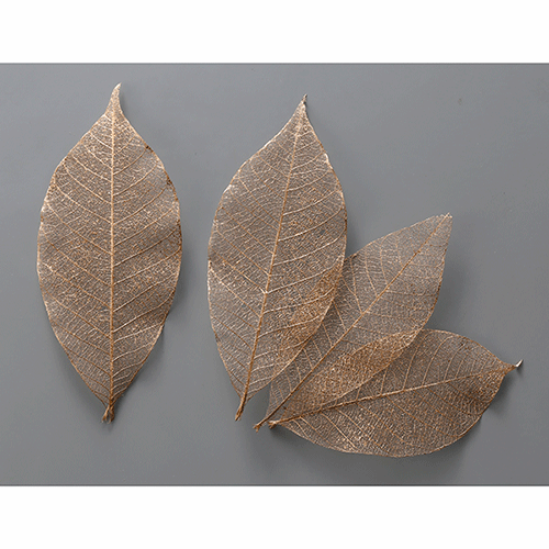 ＼クーポン配布／ 大地農園 ミニスケルトンリーフ小 ゴールド 約L5.5～7cm(約40枚) プリザーブドフラワー 花材 ドライフラワー スモールフラワー ハーバリウム アロマ ワックス サシェ Atelier memi アトリエメミ