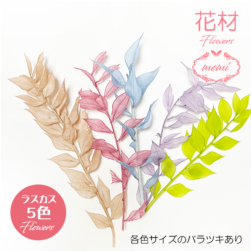 ＼クーポン配布／ ラスカス 5色 プリザーブドフラワー 花材 大地農園 ドライフラワー スモールフラ ...