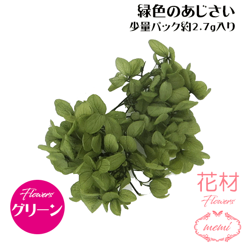 ＼クーポン配布／ ハーバリウム 花材 小分け あじさい グリーン 少量パック 約2.7～3g 【メール便送料無料】カラフル フラワー プリザーブドフラワー ドライフラワー プリザーブドフラワー ギフト 花 小分け花材 楽天ランキング1位 Atelier memi アトリエメミ