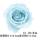 \クーポン配布/ ローズ いずみ ベビーブルー 【1輪】 プリザーブドフラワー バラ 花材 大地農園 ドライフラワー スモールフラワー ハーバリウム 花材 花 Atelier memi アトリエメミ