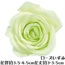 \クーポン配布/ ローズ いずみ フレッシュグリーン 【1輪】 プリザーブドフラワー バラ 花材 大地農園 ドライフラワー スモールフラワー ハーバリウム 花材 花 Atelier memi アトリエメミ