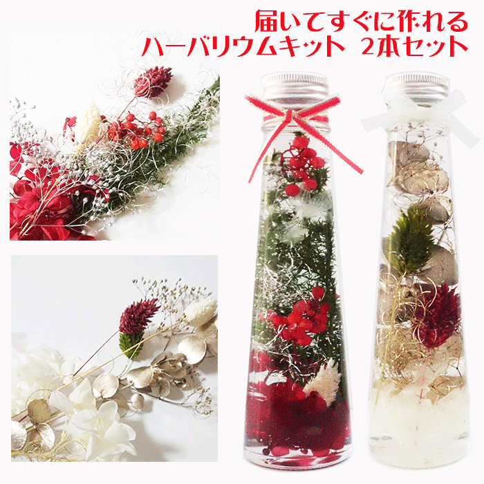 ＼クーポン配布／ ハーバリウム キット 2本セット クリスマス クリスマスツリー 誕生日 花 花材 ピンセット オイル 瓶 プリザーブドフラワー すぐに作れるハーバリウムキット クリスマスプレゼ…