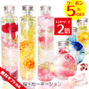 母の日 ギフト ハーバリウム お花 2025 遅れてごめんね ピンク さくら 桜 お誕生日 贈り物 退職 送別 プレゼント おしゃれ お供え 桜 プリザーブドフ...