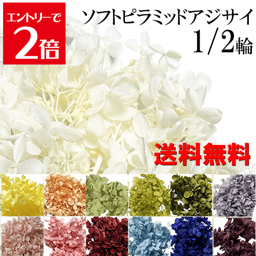 ＼クーポン配布／ プリザーブドフラワー ハーバリウム 花材 【送料無料】 約5～6g 小分け あじさい ソフトピラミッドアジサイ ホワイト 白 ピンク イエロー グリーン ブルー パープル オレンジ カラフル フラワー ギフト 花 小分け花材 楽天ランキング1位 Atelier memi