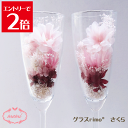 ＼クーポン配布／ グラス プリザーブドフラワー 【1個入り】ギフト プレゼント さくら 桜 ギフト ホワイトデー 送料無料 グラスrimo プレゼント 入学 卒業 退職 花 お祝い 誕生日 結婚祝い 贈り物 結婚式 花 退職祝い 還暦祝い 還暦 古希 喜寿 米寿