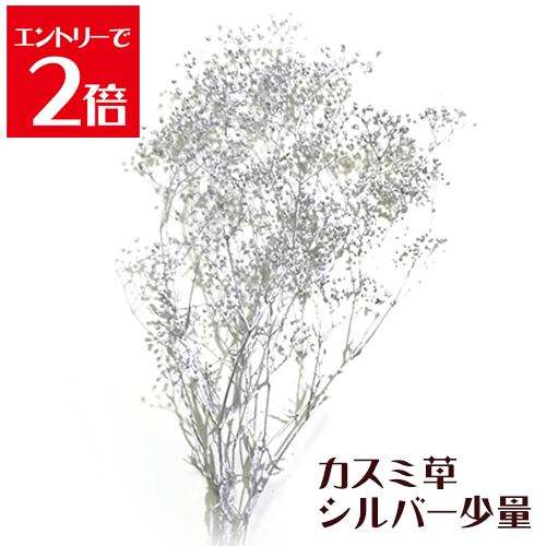 ＼クーポン配布／ ハーバリウムキット 花材 かすみ草 シルバー 少量 2.5g プリザーブドフラワー 花材セ..