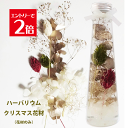 \クーポン配布/ ハーバリウム キット 花材 セット 送料無料 ホワイト クリスマス 【花材のみ】 ハーバリウム花材 プリザーブドフラワー スターターキット 手作り 初心者 プリザーブド ドライフラワー 誕生日プレゼント 結婚 敬老の日 ギフト