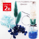 \クーポン配布/ ハーバリウム 花材 セット キット 【花材のみ】 送料無料 ブルーハート ハーバリウム花材 プリザーブドフラワー 植物標本 手作り 初心者 プリザーブド ドライフラワー 誕生日プレゼント 結婚 ギフト ホワイトデー 1,000円ポッキリ