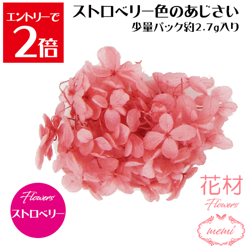 ＼クーポン配布／ ハーバリウム 花材 小分け あじさい ストロベリー 白 少量パック 約2.7～3g 【メール便送料無料】カラフル フラワー プリザーブドフラワー ドライフラワー プリザーブドフラワー ギフト 花 小分け花材 楽天ランキング1位 Atelier memi アトリエメミ