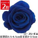 \クーポン配布/ ローズ いずみ インディゴブルー 【1輪】 プリザーブドフラワー バラ 花材 大地農園 ドライフラワー スモールフラワー ハーバリウム 花材 ...