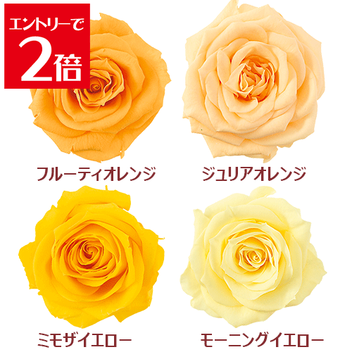 ＼クーポン配布／ バラ 【1輪】 選べる4色 イエロー オレンジ プリザーブドフラワー 花材 キット ハー..
