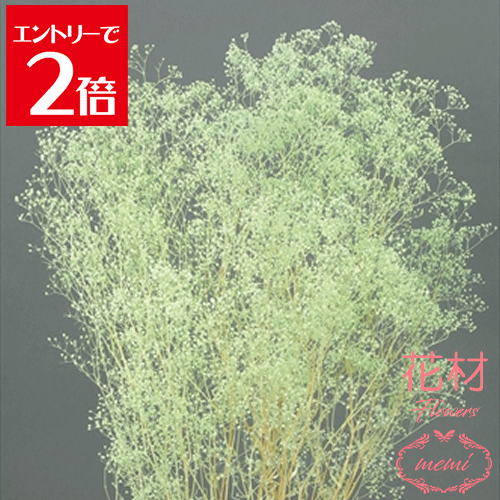 ＼クーポン配布／ 大地農園 ソフト ミニ カスミ草 22g ミントグリーン プリザーブドフラワー 花材 ドライフラワーバリウム アロマ ワックス サシェ ボールペン 小花 リース キャンドル 手づくり 材料 アクセサリー 花 Atelier memi アトリエメミ