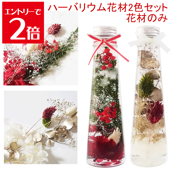 ＼クーポン配布／ ハーバリウム 花材 2色 まとめ セット キット 送料無料 ハーバリウムキット 【花材のみ】 ハーバリウム花材 花材キット プリザーブドフラワー 植物標本 手作り 初心者 プリザーブド ドライフラワー 誕生日プレゼント 結婚 ギフト