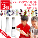 \クーポン配布/ ハーバリウム キット さくら 桜のハーバリウム 入学 花材 入園 御祝い 送料無料 1本分 選べる15色 花材 セット ボトル ピンセット オイル 花材 瓶 プリザーブドフラワー ハーバリウムキット セット お家時間 Atelier memi