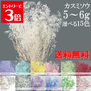 \クーポン配布/ プリザーブドフラワー カスミソウ 小分け 花材 ソフトミニカスミソウ 約5~6g 【送料無料】 4色セット アソート シロ 白 フラワーベール...