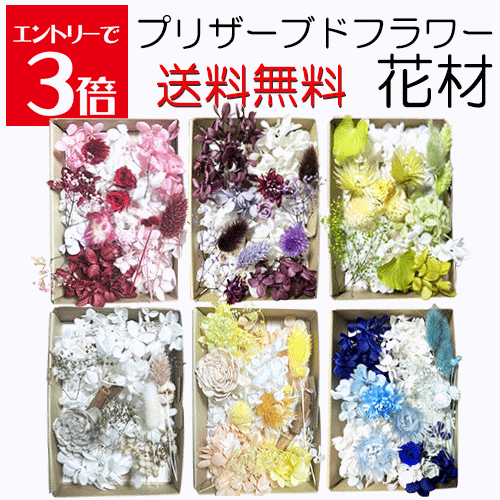 楽天市場】プリザーブドフラワー 詰め合わせ 花材の通販