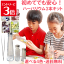 \クーポン配布/ ハーバリウム キット 3本 送料無料 花材 セット ブルー ピンク レッド グリーン パープル ピンセット オイル ハーバリウム専用液 初心者でも安心 手作り花のインテリア DIY おしゃれ 手づくり 手作り rimo(R) Atelier memi アトリエメミ