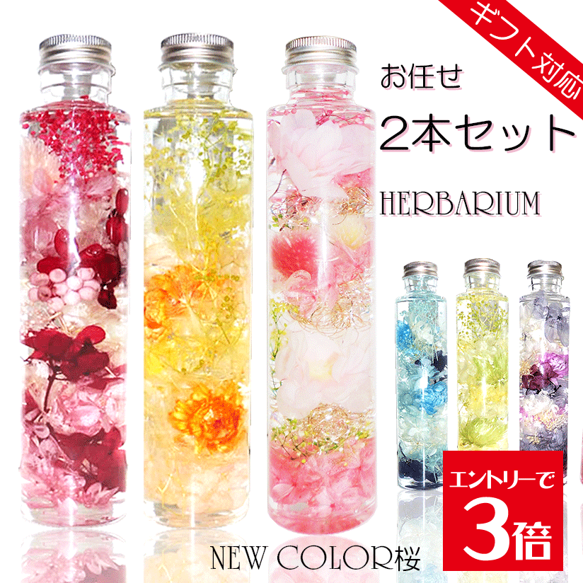 ＼クーポン配布／ ハーバリウム ギフト プレゼント 【お任せ2本入り】 福袋 誕生日 桜 プリザーブドフラワー 送料無料 義理 お祝い バースデー 結婚祝い 贈り物 結婚式 退職祝い 還暦 古希 喜寿 米寿 お礼 ウェディング 楽天ランキング1位の商品画像