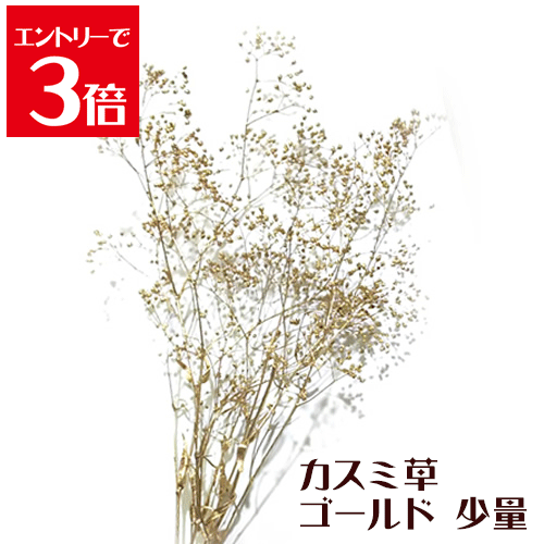 ＼クーポン配布／ ハーバリウム 花材 キット カスミソウ ゴールド かすみ草 少量 2.5g プリザーブドフラワー 花 ドライフラワー メール便でお届け Atelier memi アトリエメミの商品画像