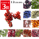 ＼クーポン配布／ ハーバリウム 花材 キット ペッパーベリー プリザーブド 少量 4.2～4.5g ハーバリウム花材 ハーバリウム アロマ キャンドル サシェ アクセサリー ウエディングボード お花 楽天ランキング1位 Atelier memi アトリエメミの商品画像